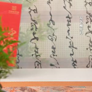 BAMA TEA | 2017 White Tea Shou Mei 2019 Puer Ripened Tea Gift