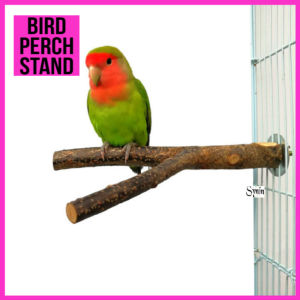 🇸🇬 Pet Bird Perch Stand Natural Wood