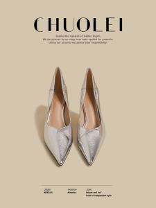 CHUOLEI | Summer New French Style Casual Silver Easy-On Low-Cut Mary Jane Heels