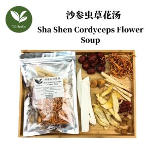 沙参虫草花汤 Sha Shen Cordyceps Flower Soup 润肺润喉 健脾开胃 药材汤 4-5 person Chinese Herbal Soup