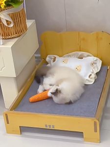Kucing Lobak Merah Linen Carrot Toy for Cat and Dog Mainan 胡萝卜磨牙磨爪猫玩具