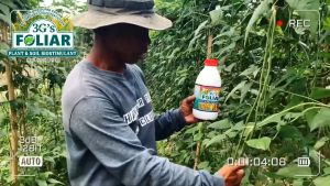 3Gs FOLIAR – SOIL AND PLANT BIOSTIMULANT ALL IN ONE SUPER FOLIAR BIO ORGANIC LIQUID FERTILIZER