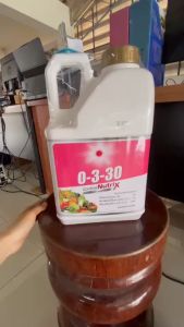 ปุ๋ยน้ำ 0-3-30 (แกลลอน 5 ลิตร)นิวทริกซ์ เร่งลงหัว เพิ่มแป้งและน้ำตาล เพิ่มความหวาน(1ลังมี4แกลลอน) ดวงตะวันเพชร #แอลเจอะโกร