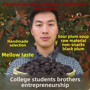 Dark Plum College Student Entrepreneurship Farm Dried Smoked Plum Natural Non-Additive Dark Plum Plum Juice Drink Raw Materials 500G Tea Brewing Traditional Chinese Medicine