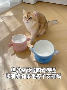 chén sứ chống gù hình tiểu ác ma dành cho chó mèo - T3 PETS SHOP