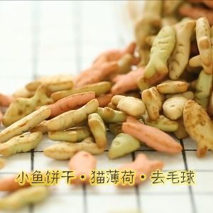 Furiri 100g Cat Biscuits Cat Treats Catnip Biscuits Tuna Salmon Catnip Biskut Kucing Cat Snack Salmon Tuna Chicken Makanan kucing