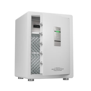 Mini Theft-Resistant Password Safe