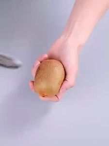 [Datz] 3 in 1 Stainless Steel Fruit Peeler Food Slicer Rotary Peeler Kitchen Peeler 削皮刀 Pisau Kupas - KW149