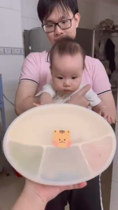 Khay Ăn Dặm Oval Silicone Có Đế Hít Chống Đổ Khay Ăn Dặm Cho Bé 4 Ngăn Có Nắp Đậy An Toàn