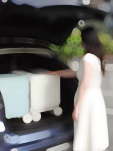 LOHE | Foldable Stair Climbing Shopping Cart for Seniors