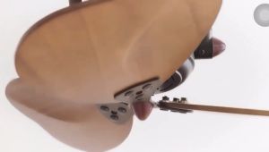 [✅SG Safety Mark & Authorized Seller] High Quality 16in Vento Fino 3 Wall Fan / Ceiling Fan