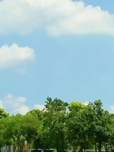 Ghế Xếp Ngoài Trời Di Động Có Túi Đựng Đồ Khung Kim Loại Nhẹ Đệm Êm Tiện Dụng Cho Bãi Biển Xe Hơi Cắm Trại
