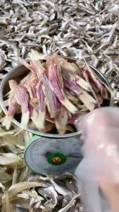 1kg Khô Cá Phèn Bỏ Sạch Đầu Vị Mặn Vừa Ăn Chiên Giòn Kho Thơm Bùi Hao Cơm- VỰA KHÔ MINH TRIẾT