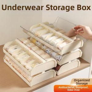 NAIFUNA | 3-in-1 Compartmental Box for Underwear