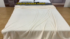 Premium Soft Coral Fleece Blanket Queen Size Grey Flannel Cashmere Machine Washable 220x230cm