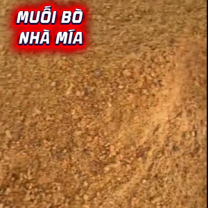 Muối Bò Cay Thơm Loại Ngon Mẹ Mía Trộn Bánh Tráng Chấm Trái Cây Đặc Sản Tây Ninh