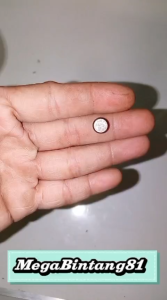 Topi Klep & Cap Valve Rotator GX160: Panduan Lengkap