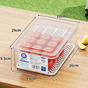 QINQI | Portable Foldable Camping Stand
