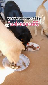 ขนมหมา ขนมสูง 3 ช่อง กระดูก ไก่สติ๊ก ยังมี แท่งกรอบมินิ Yummy Bite แพค 400 กรัม