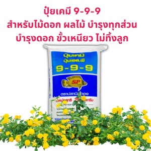 ปุ๋ยใส่ดอกไม้ เร่งดอก สูตร 9-9-9 ตราปลานิลทอง 1 กก.
