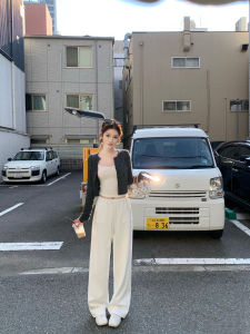 Ultra Comfortable Lazy Casual Pants Womens Drawstring Straight Leg Pants Slippery Protein Pants Three Colors Loose Fit