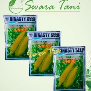 Benih Jagung Manis J NISE 100 gr Original