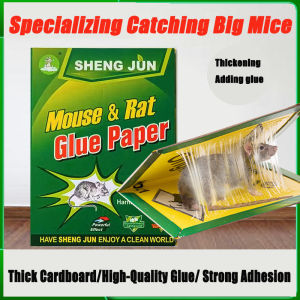 【Specialized Catching Big Mice】🔔Chuột Chuột bẫy không độc hại dính miếng chuột tăng cường dính gấp nhẹ thuận tiện cho hộ gia đình động vật gặm nhấm giết chết công cụ