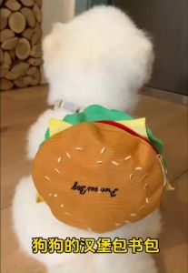 Pet Vest Style Chest Strap Adjustable Cat Backpack Traction Preventing Breakout Walking Dog Rope Tali Kucing狗猫牵引绳背心式遛宠物