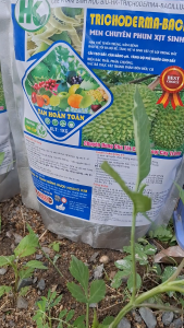 TRICHODERMA CAO CẤP 1 kg. Combo 2 gói.  MEN CHUYÊN PHUN XỊT TAN HOÀN TOÀN CHỐNG TUYỄN TRÙNG RỄ CẢI TẠO ĐẤT.