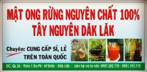 Mật ong rừng