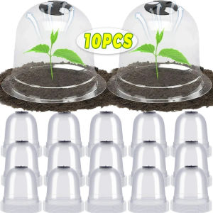 Dozoey 10ชิ้นถ้วย Grow ป้องกันต้นกล้าฉนวนกันความร้อนใสสำหรับสวนระฆังพืชสามารถนำกลับมาใช้ใหม่ได้