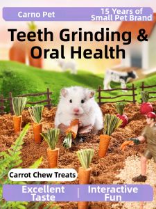 CARNO | Nutritious and Teeth Grinding Small Hamster Food