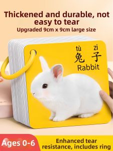 TANGJIUGONG | Early Education & Cognitive Development Book for Children