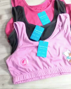 12 PCS Miniset Anak Remaja Gwenith KAM BORDIR  Pakaian Dalam Anak  BEST SELLER