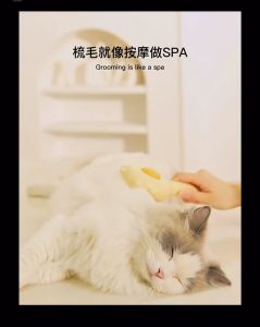 Pet Comb Cat Needle Brush for Removing Loose Fur