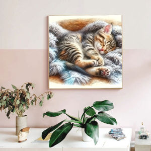 Huacan 5D DIY Diamond Painting Sleeping Cat Diamond Embroidery Animal Complete Kit Decorative Paintings