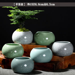 Succulent Flower Pot Ceramic Succulent Plant Color Flow Glaze Modern Minimalist Creative Large and Small Caliber Simple Special Offer Big Sale