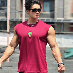 Mens Quick Dry Sports Casual Vest Summers New Fitness Training Running Comfortable Sleeveless Top