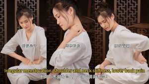 Mugwort Warming Patch x5 艾草宫暖贴暖宫贴5片装