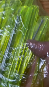 Que Nặn Mụn - Cây Lấy Mụn 8Cm Dùng Trong Spa [ HCM ]