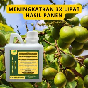 Pupuk Pelebat Matoa / Pupuk Buah Matoa / Pupuk Booster Matoa / Pupuk Matoa