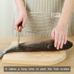 Keranixy Coconut Grater Electric Shredder Scraper Kitchen Stainless Steel Blades Rotating Fish Scaler Peraut Kelapa