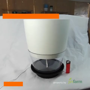 JIRIFARM - Pot Bunga Transparan Diameter 11 13 18 26 - Tanaman Hias Otomatis Self Watering Pot Unik