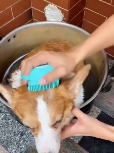 Petbrush แปรงอาบน้ำสัตว์เลี้ยง แปรงอาบน้ำสุนัข เลี้ยงสปานวดแปรงนุ่มซิลิโคนสูงสุดแมวอาบน้ำผมกรูมมิ่งสุนัขทำความสะอาดเครื่องมือ