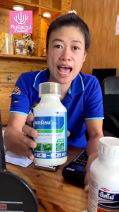 ยากำจัดหญ้า สตาร์เรน 28.8 ฟลูรอกซีเพอร์ เมปทิล สารกำจัดวัชพืชใบกว้าง เครือเถา ไม่มีผลต่อข้าวโพด ขนาด 1 ลิตร แพ็คเกจใหม่ คุณภาพและสภาพผิว