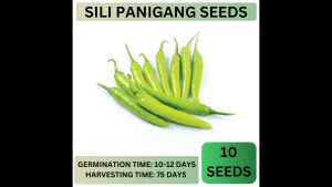 (BUY 1 GET 1) SULIT PACK VEGETABLE SEEDS! - HIGH QUALITY
