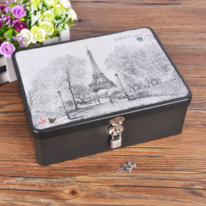 Lockable Storage Box Iron Box Mini Key Document Storage Organizer with Lock Small Peninsula Iron Tin Storage Box for Home