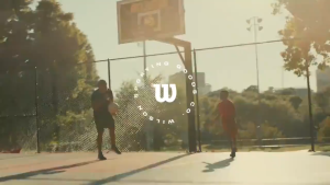 WILSON NBA DRV Basketball