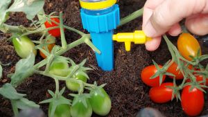 Bottle Drip Irigasi Tetes dengan Botol - Alat Siram Tanaman Otomatis