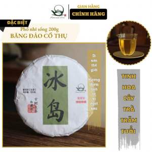 Trà Phổ nhĩ Vân Nam phổ nhĩ sống Băng Đảo phẩm cao cấp 200g nguyên liệu đầu xuân 2021 puer tea